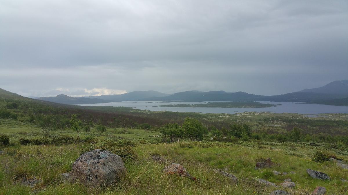 2016-07-12 17.39.58.jpg